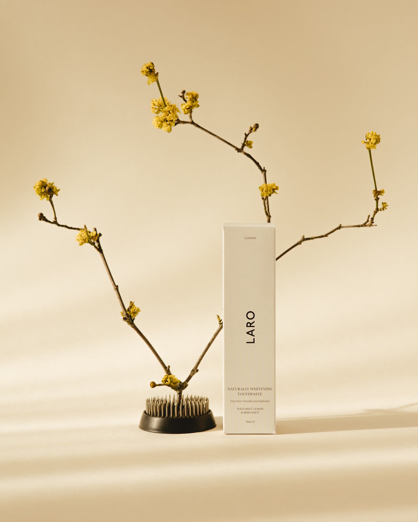 Naturally Whitening Toothpaste product packaging carton for Laro describing our SLS and fluoride free toothpaste, next to an ikebana with yellow flowering branch.